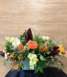 Blooming Basin from Kelley's Florist in Lake Placid, FL