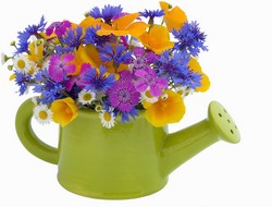 Garden Pitcher Bouquet from Kelley's Florist in Lake Placid, FL