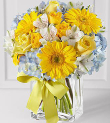 Celebrate from Kelley's Florist in Lake Placid, FL